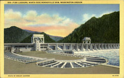 Fish Ladders North Side Bonneville Dam Postcard