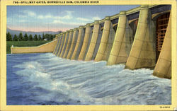 Spillway Gates,Bonneville Dam,Columbia River Oregon Postcard Postcard