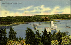 Quisett Harbor Cape Cod, MA Postcard Postcard