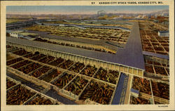 Kansas City Stock Yards Postcard