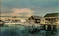 Waterfront Scene.Key West, CASA MARINA NEWSSTAND Florida Postcard Postcard