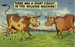 There Was A Short Circuit In The Milking Machine! Postcard