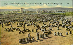 Right After ginning Season Howard Country Texas-Big Spring Taxas in Background Postcard