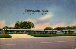 Withlacoochee Court, U.S.Hwy.19 Postcard