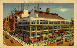 Madison Square Garden New York City, NY Postcard Postcard