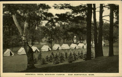 Memorial Trees, Seminary Campus Postcard