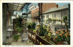 Gallery, French Quarter New Orleans, LA Postcard Postcard