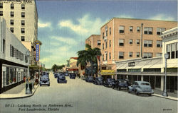 Looking North on Andrews Ave Fort Lauderdale, FL Postcard Postcard