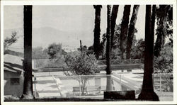 Paraiso Hot Springs Soledad, CA Postcard Postcard