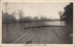 Scene, Lake Cormorant Postcard