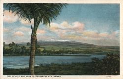 City of Hilo and Snow Capped Mauna Kea, Hawaii Postcard