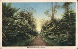 Road to Volcano, Hawaii Postcard