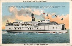 Palatial Ferry Steamer "Napa Valley" Postcard