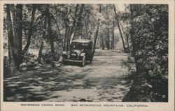 Waterman Canon Road, San Bernardino Mountains Postcard