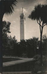 Sather Tower, University of California Postcard