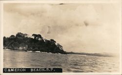 Cameron Beach Postcard