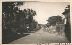 Street Scene, Amapala Postcard