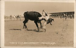 Pinkey Gist Bullhogging Postcard