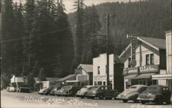 Street Scene in Weott, California Postcard