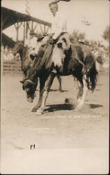 Russell Dunn on Montana Fete Postcard