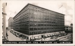 Winnipeg Store of the T. Eaton Co. Limited Postcard