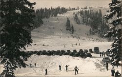 Berthoud Pass, Colorado Postcard