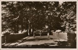 Shady Lane, Leicester Postcard