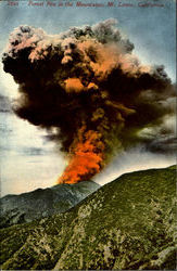 Forest Fire In The Mountains, Mt. Lowe Mount Lowe, CA Postcard Postcard