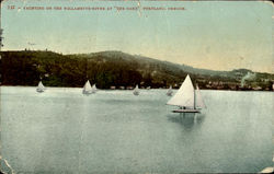 Yachting On The Willamette River Postcard