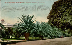 Palm Drive State Hospital Grounds Postcard