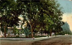 Residence Street Healdsburg, CA Postcard Postcard