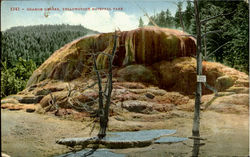 Orange Geyser, Yellowstone National Park Postcard Postcard