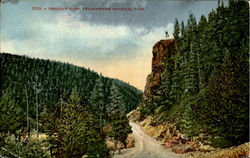 Obsidian Cliff, Yellowstone National Park Postcard Postcard