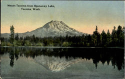 Mount Tacoma From Spanaway Lake Washington Postcard Postcard