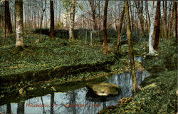 Wissahickon Creek Philadelphia, PA Postcard Postcard