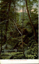 In Hopper's Glen Postcard