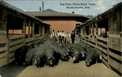 Hog Pens Union Stock Yards South Omaha, NE Postcard Postcard