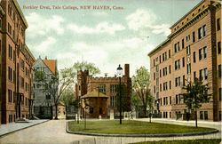 Berkley Oval Yale College Postcard