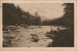 Partii Divoké Orlice na Ciháku River, Czechia Czechoslovakia Postcard Postcard Postcard