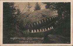 Rock Formation in the Forest near Nalžov, Czech Republic Postcard