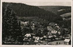 Wildenthal i. Erzgeb. 732 m. Germany Postcard Postcard Postcard