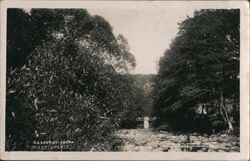 Bridge over the Perkel River, Nasavrky Game Preserve Postcard