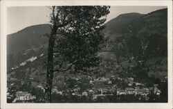 Gstaad, Switzerland - Village View with Tree Postcard Postcard Postcard