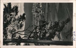 Pisek, Czechoslovakia, View From Park Postcard