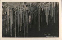 Macocha Caves Stalactites Postcard Postcard