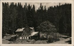 Pension Sdruzelka ve Sv. Petru, Krkonose - Spindleruv Mlyn Postcard