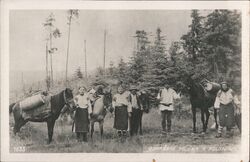 Hutsul People with Pack Horses in the Carpathian Mountains Postcard Postcard Postcard