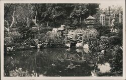 Japanese Garden, Lázně Poděbrady, Czechoslovakia Postcard Postcard Postcard