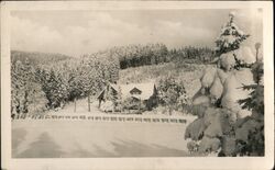 Petrovy Chaty u Petrovic Winter Scene, Snowy Trees and Cabin Petrovice, Czechoslovakia Postcard Postcard Postcard