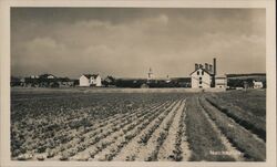 Nechanice Town View with Field in Foreground Postcard